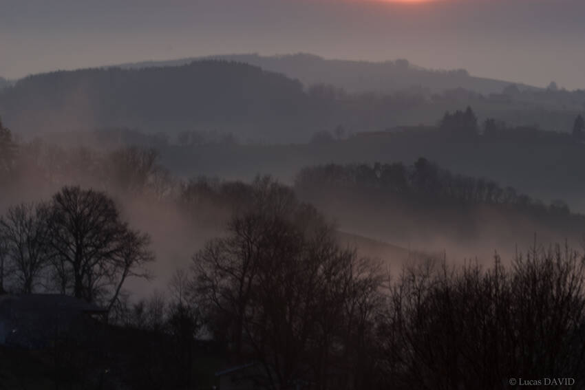 MONTS LYONNAIS FORET 13012020 VILLECHENEVE69 Lucas DAVID