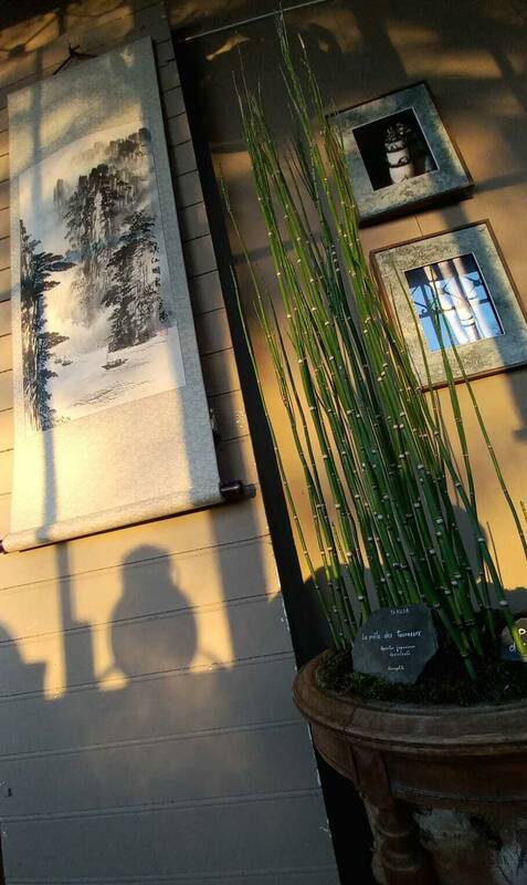  Olivier perrin 2 DONY