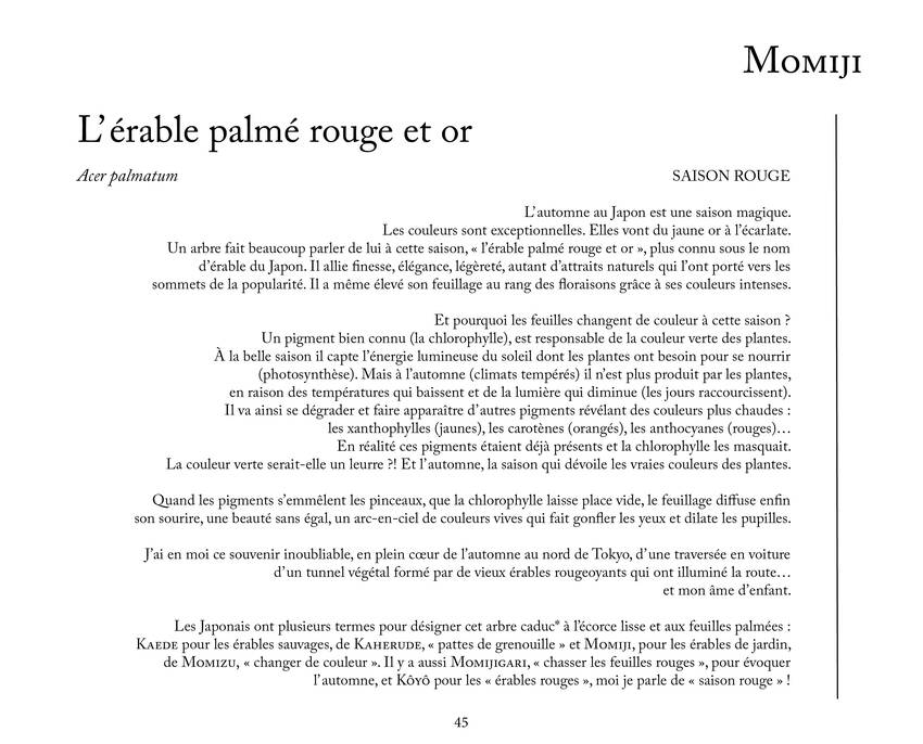 LIVRE JAPON IB45