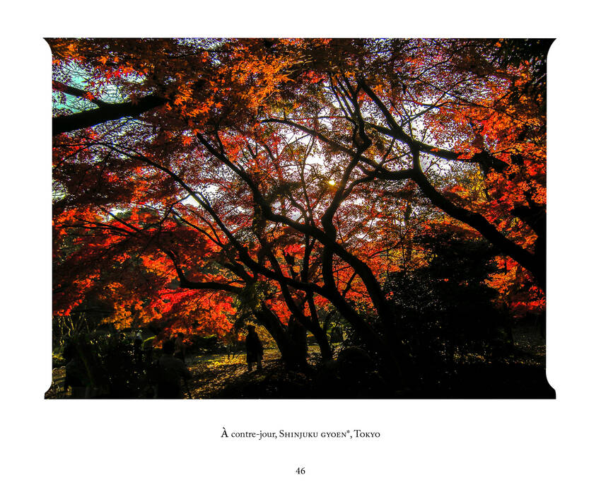 LIVRE JAPON IB46