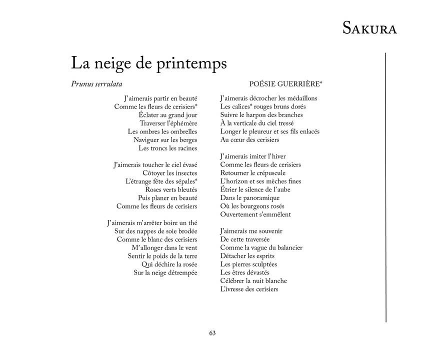 LIVRE JAPON IB63