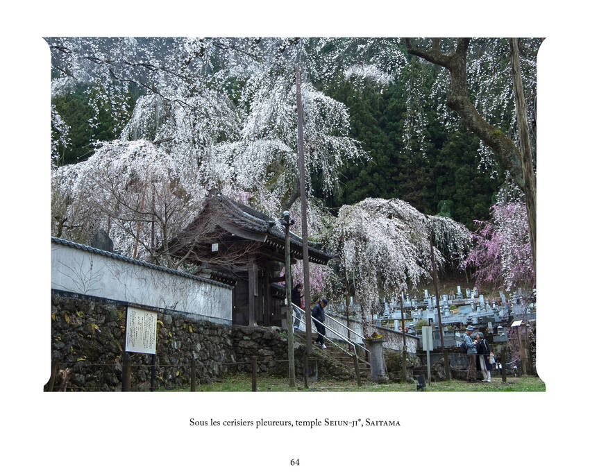 LIVRE JAPON IB64