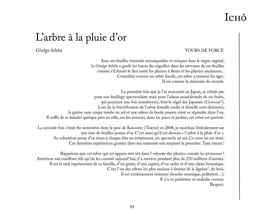 LIVRE JAPON IB93