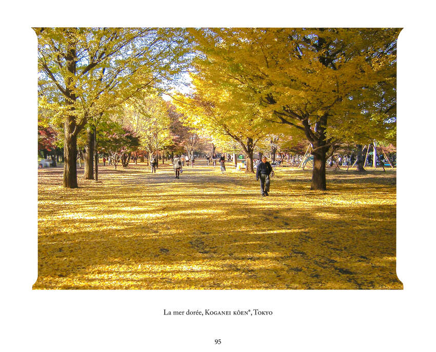 LIVRE JAPON IB95