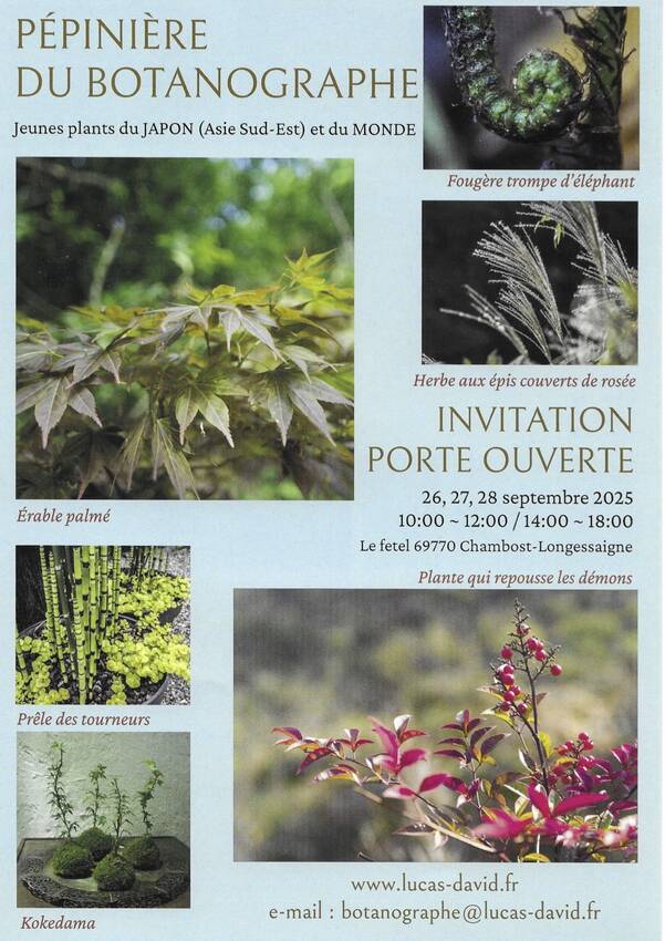 Porte ouverte recto