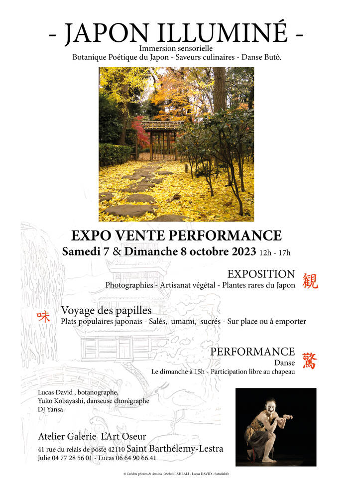 affiche Japon illumine oct 2023