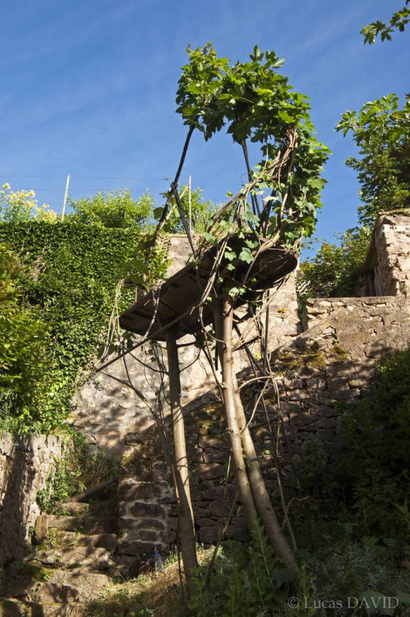 Banc-érables suspendu. Participation d'un forgeron, Jean De Saint Phalle. Conduite des arbres le long de la structure en métal et création d'une arche végétale