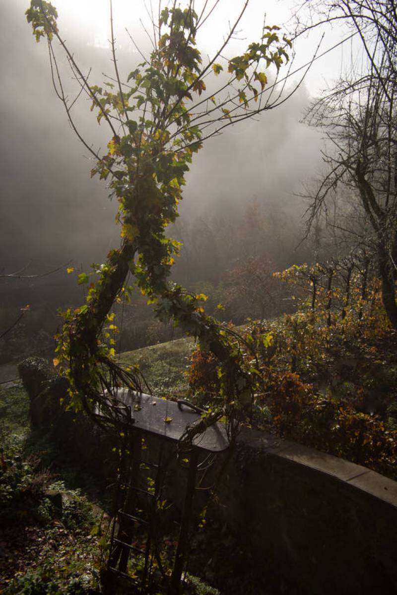Arche au dessus du banc suspendu