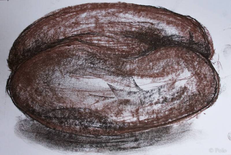 Coco-fesses, la graine la plus grosse du monde...