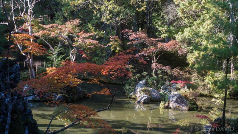 SAIHOJI_01_07011013_KYOTO__Lucas_DAVIDjpg_FILI2.jpg