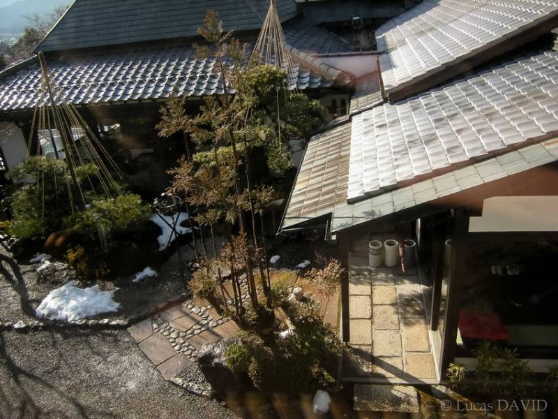 A contre-jour, yukitsurin (protection contre la neige) et daisugi (technique forestière de cèdres dressées et dégarnis à la base appliquée au jardin)