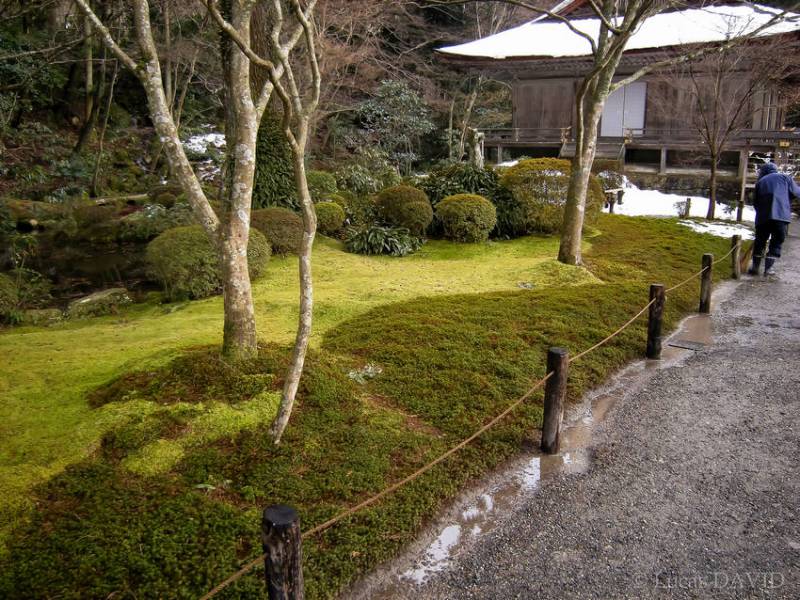 Jardin des mousses