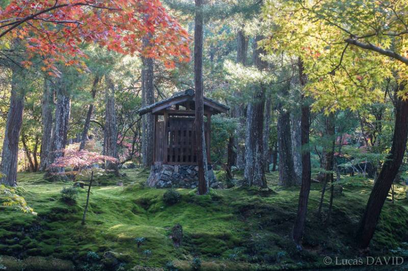 Forêt jardinée par les moines, Japon