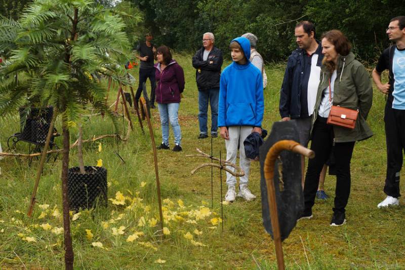 L'arbre à la pluie d'or