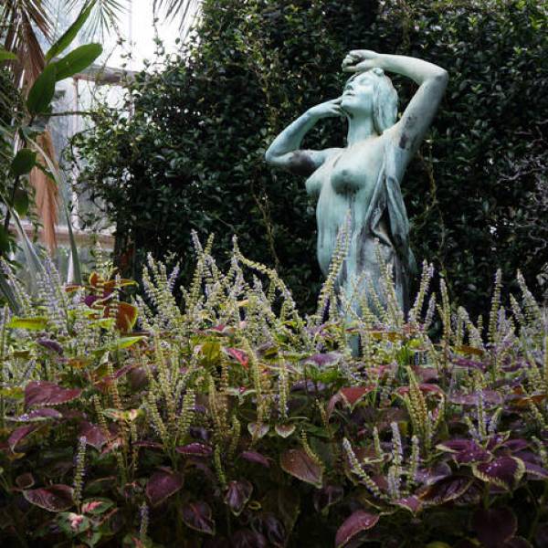 Palais des plantes Meise