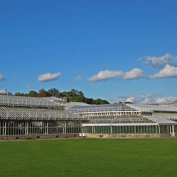 Palais des plantes, Jardin Botanique de Meise, Belgique, 2010-2016