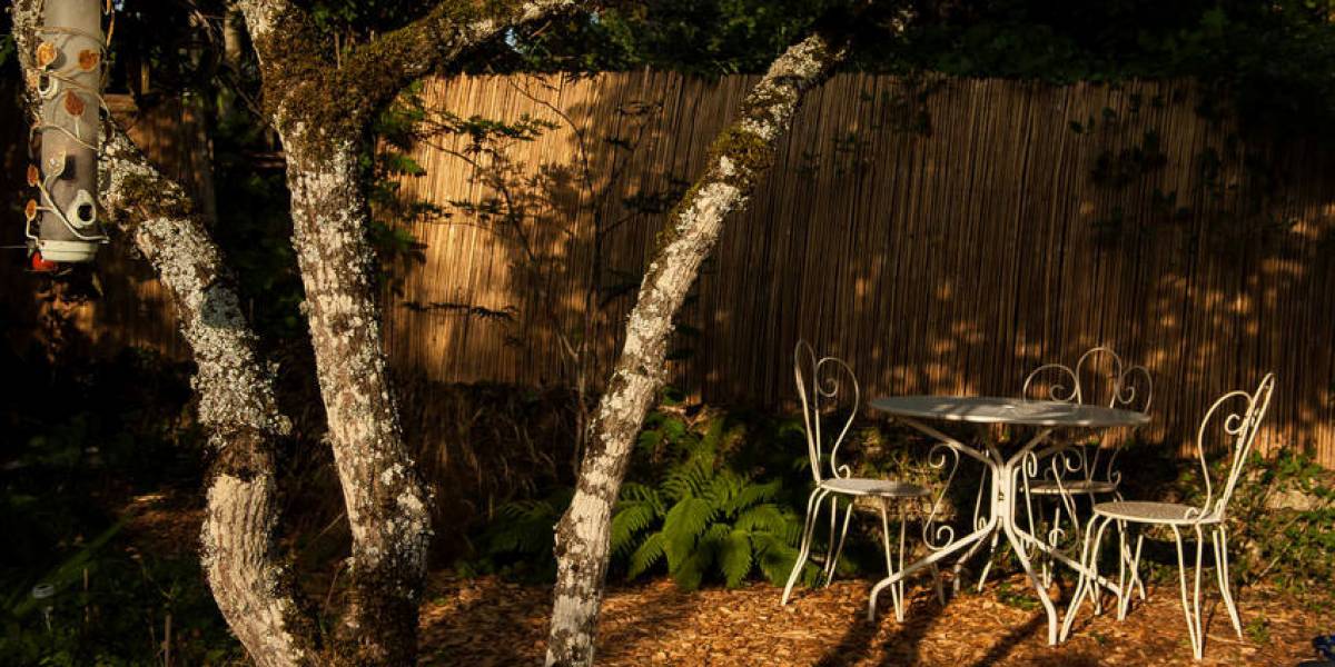 Salon de jardin prèsd'un fusain européen