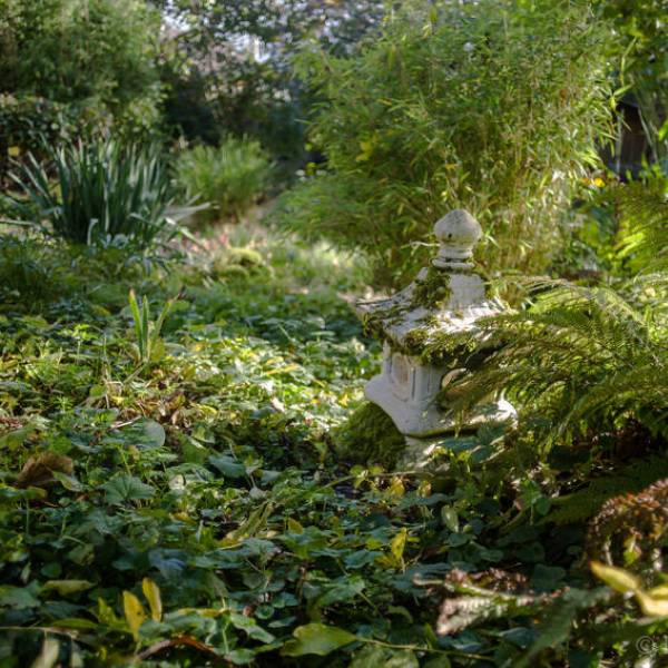 Lanterne japonaise entourée de fougères et de plantes de sous-bois